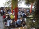 locarno festival