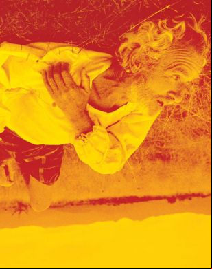 Festivalissimo poster 2008