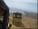 jeeps