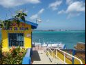 Palm island