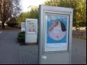 Regiofun posters