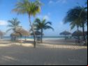 Aruba International Film Festival