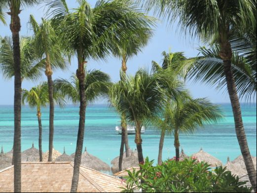 Aruba International Film Festival