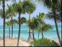 Aruba International Film Festival