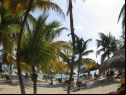 ARUBA WITHDRAWALS    
