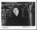 Ladyhawke