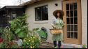 Garden Therapy