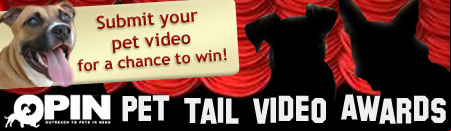 OPIN Pet Tail Awards