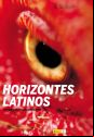 San Sebastian 2007 Poster Horizontes Latinos