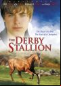 The Derby Stallion