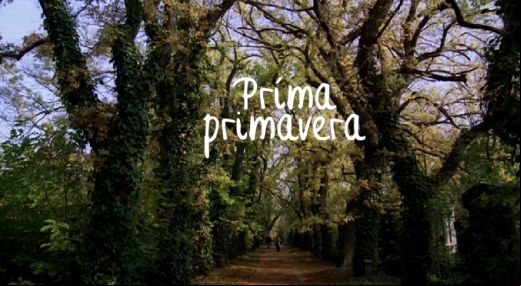 Prima Primavera 